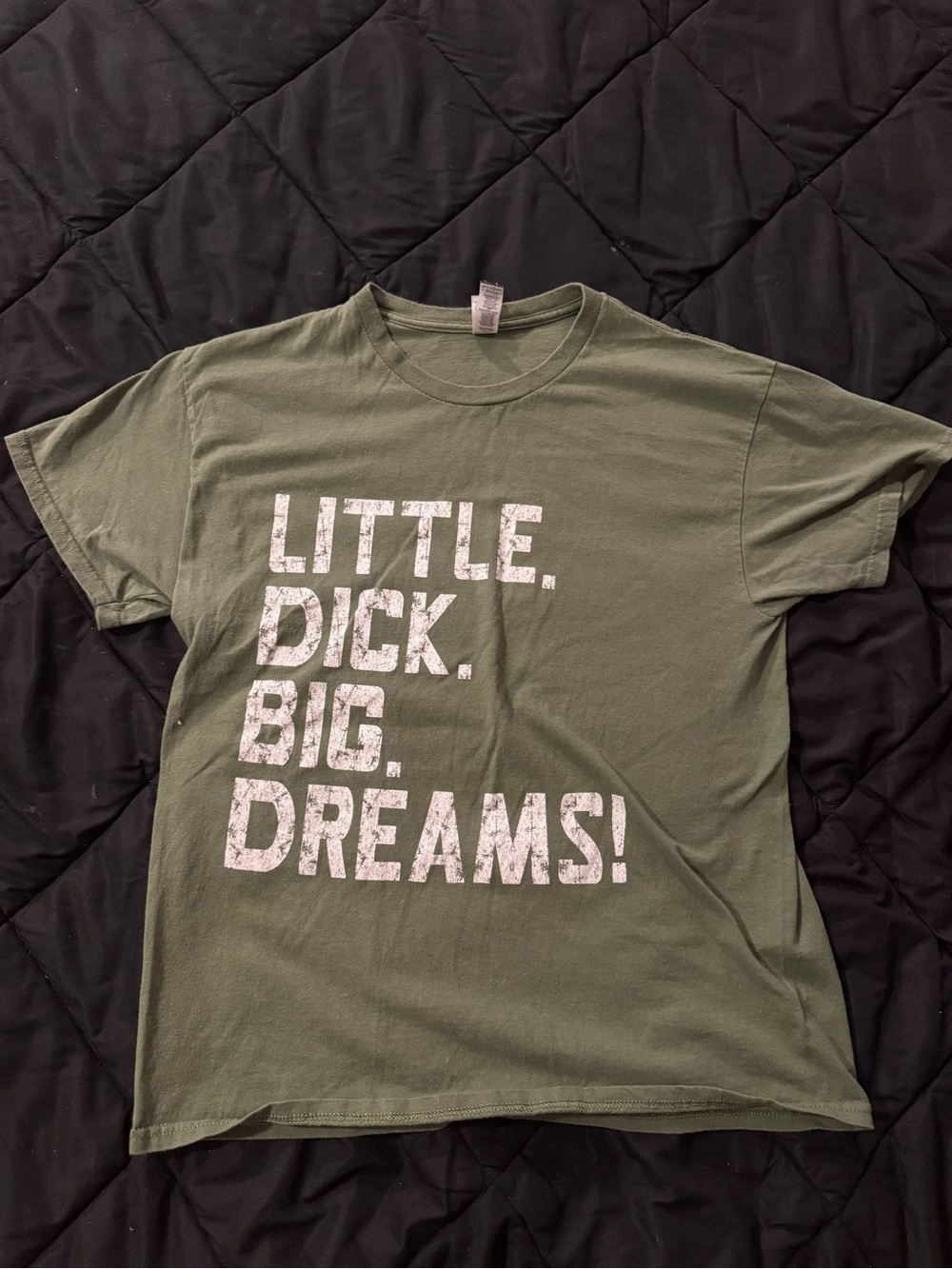 {GILDAN} Olive Green Graphic Tee - Little. Dick. Big. Dreams!